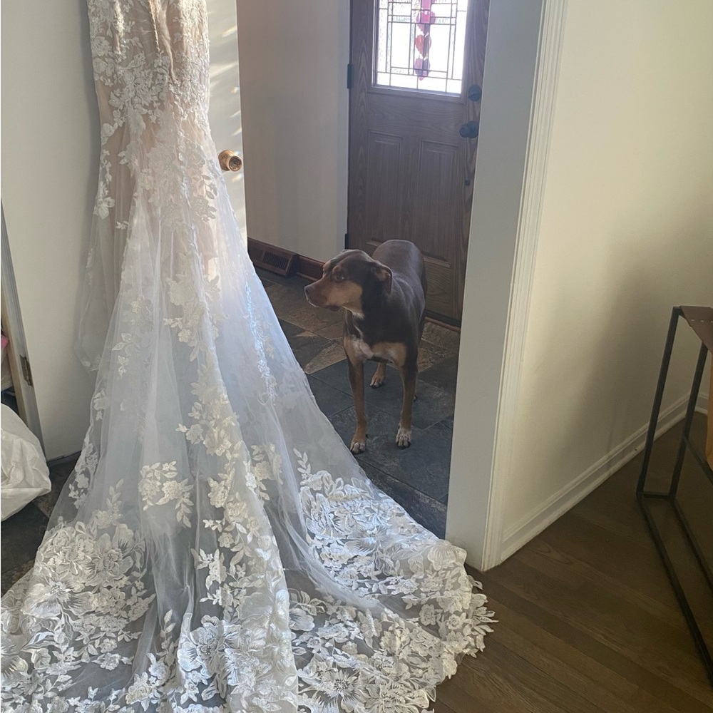 Martina Liana Bridal Gown - Picture 6 of 9